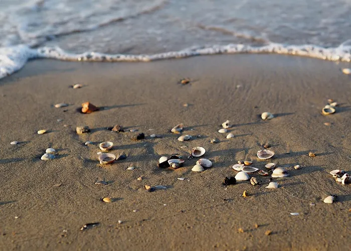 Relax In Our Serene Apartment-beahost * 比比翁