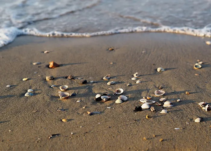 Relax In Our Serene Apartment-beahost * 比比翁